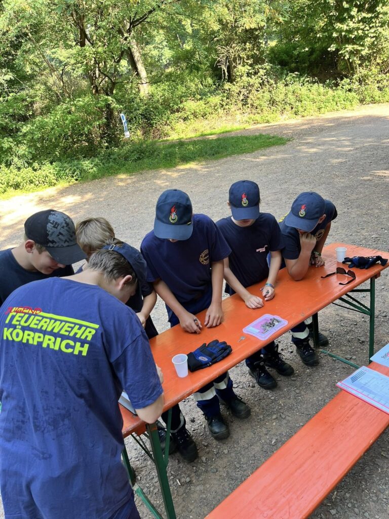 Bild 15